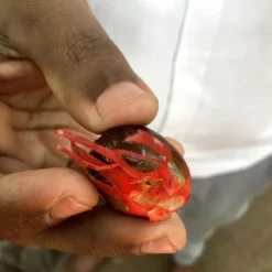 Macis Muskatblüte Gemahlen, BIO, 100g -AromaKaffee Angebote Store 27612d91fd4dde3a639d0f64964ecebd